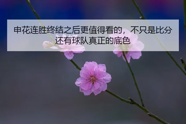 shen-hua-lian-sheng-zhong-jie-zhi-hou-geng-zhi-de-kan-de-bu-zhi-shi-bi-fen-hai-you-qiu-dui-zhen-zheng-de-di-se-2-160.jpg